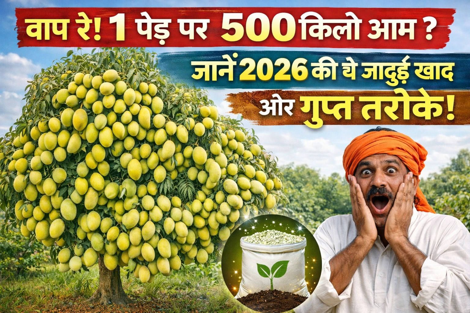 आम के बाग में लदे हुए रसीले आम और उनकी देखभाल करता हुआ एक खुशहाल किसान।